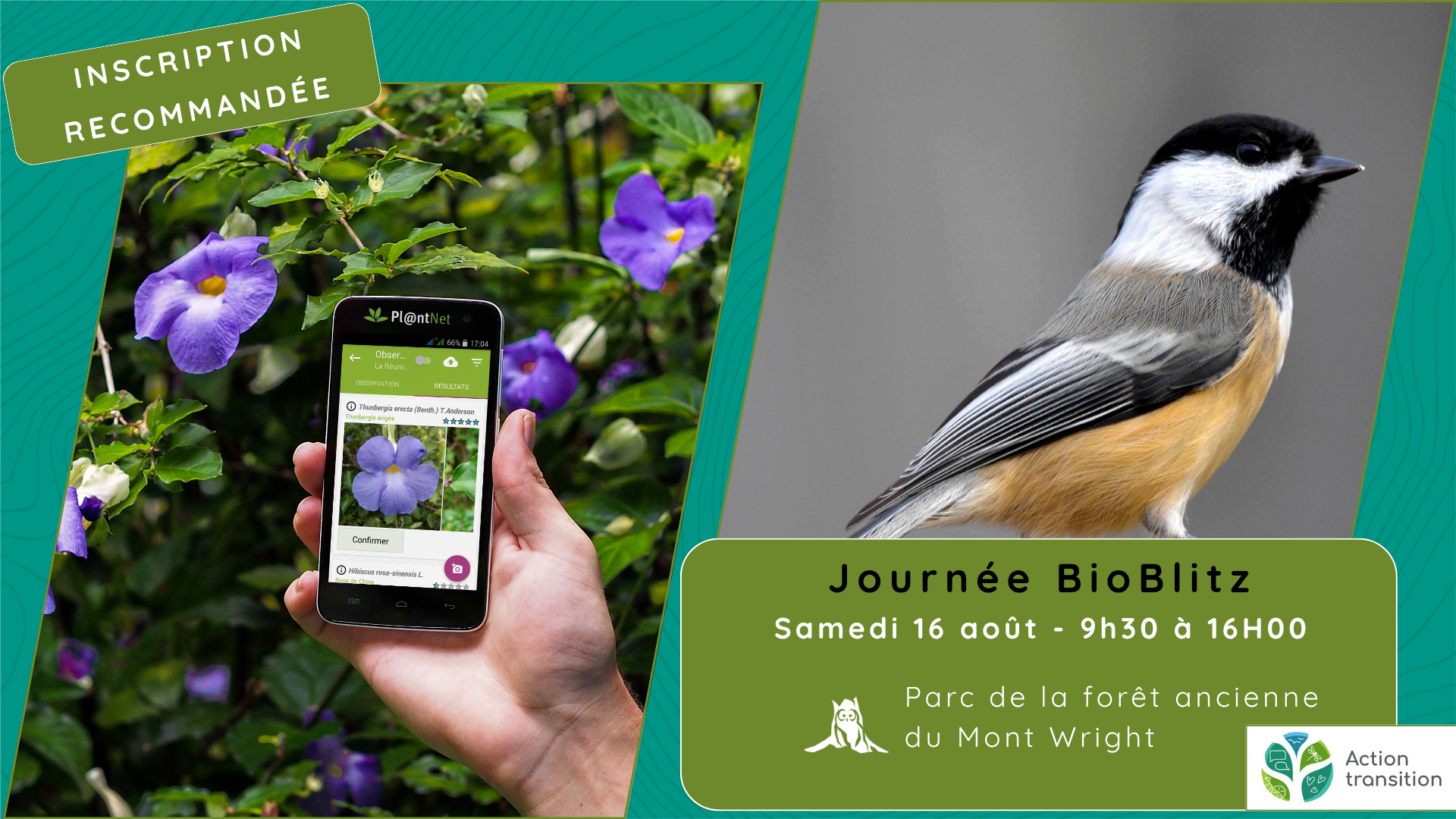 bioblitz